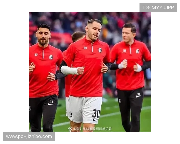 沃尔夫斯堡赛季回顾：保级成功与教训